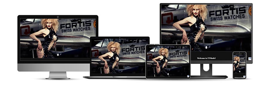 www.ttmodel.world